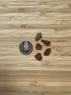 Amber Seaglass- Wellington beaches