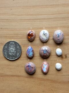 Mexican Opals Lot 1 (TFM)