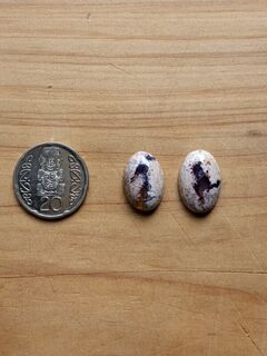 Mexican Opals Lot 6 (TFM)