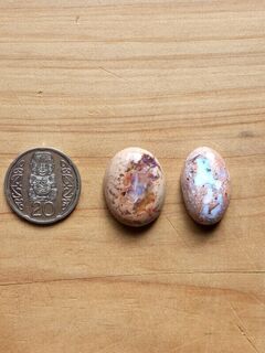 Mexican Opals Lot 7 (TFM)