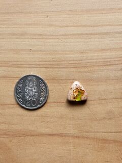 Mexican Fire Opal (TFM)